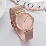 Luxury Steel Strap Fashion Watch